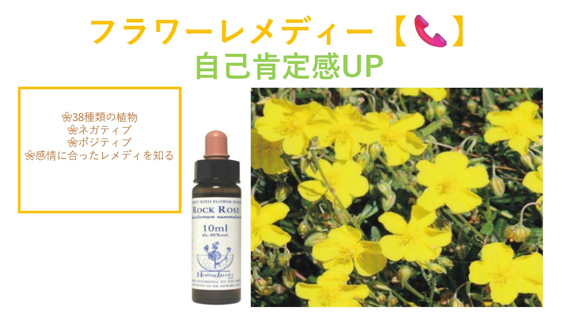 花からのメッセージを感情に届けます ❀感情を花に例え例え自己肯定感を上げていきましょう。↓↑ イメージ1