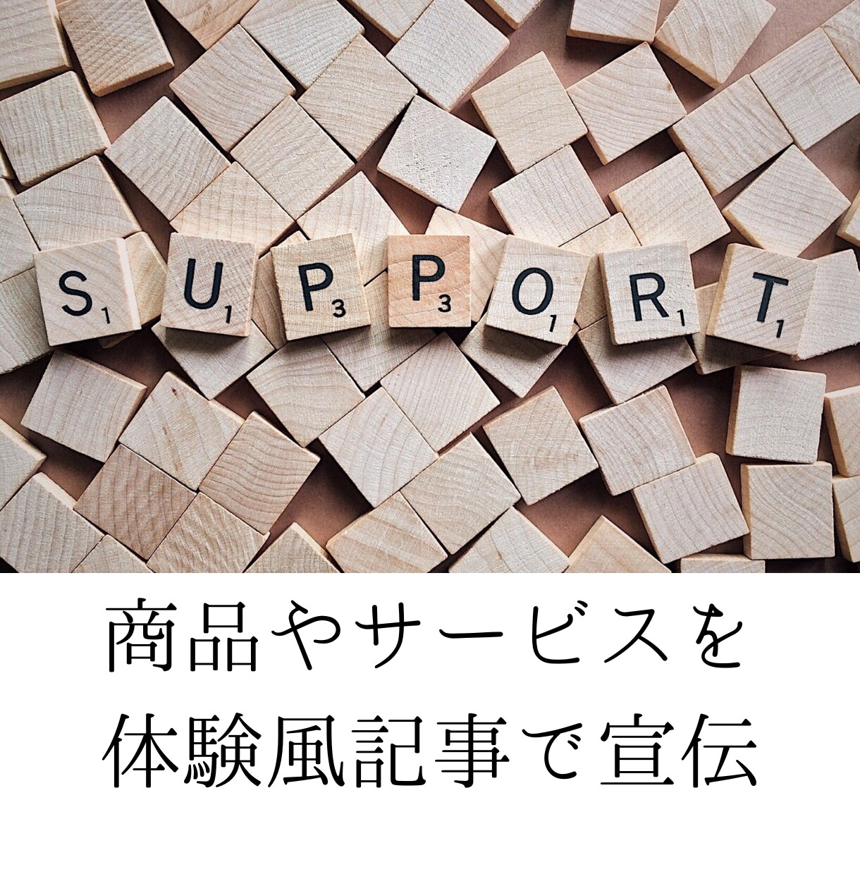 レビューの代替に。商品サービスの体験風記事書きます レビューを集めにくい業種に商品やサービスの良さを小説で面白く イメージ3