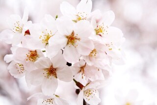あなたの悩み、どんな些細なことでも相談にのります 不安を抱えてるそこのあなたを笑顔にします！ イメージ1