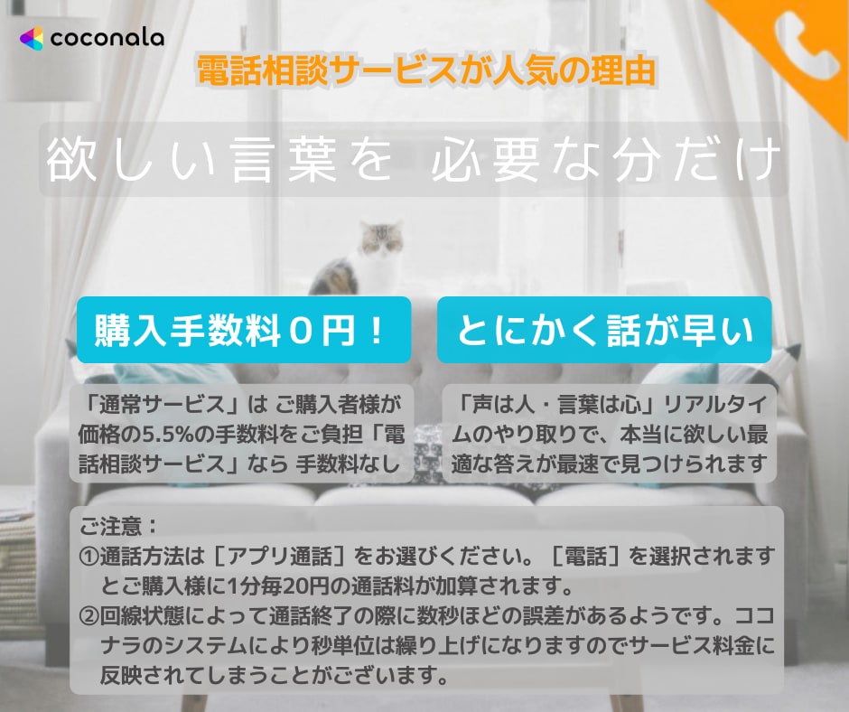 嫁姑コンビ！育児/健康/仕事/２人でお話し伺います 追加０円！タロット・四柱推命・宿曜などご希望者様には占い併用 イメージ5