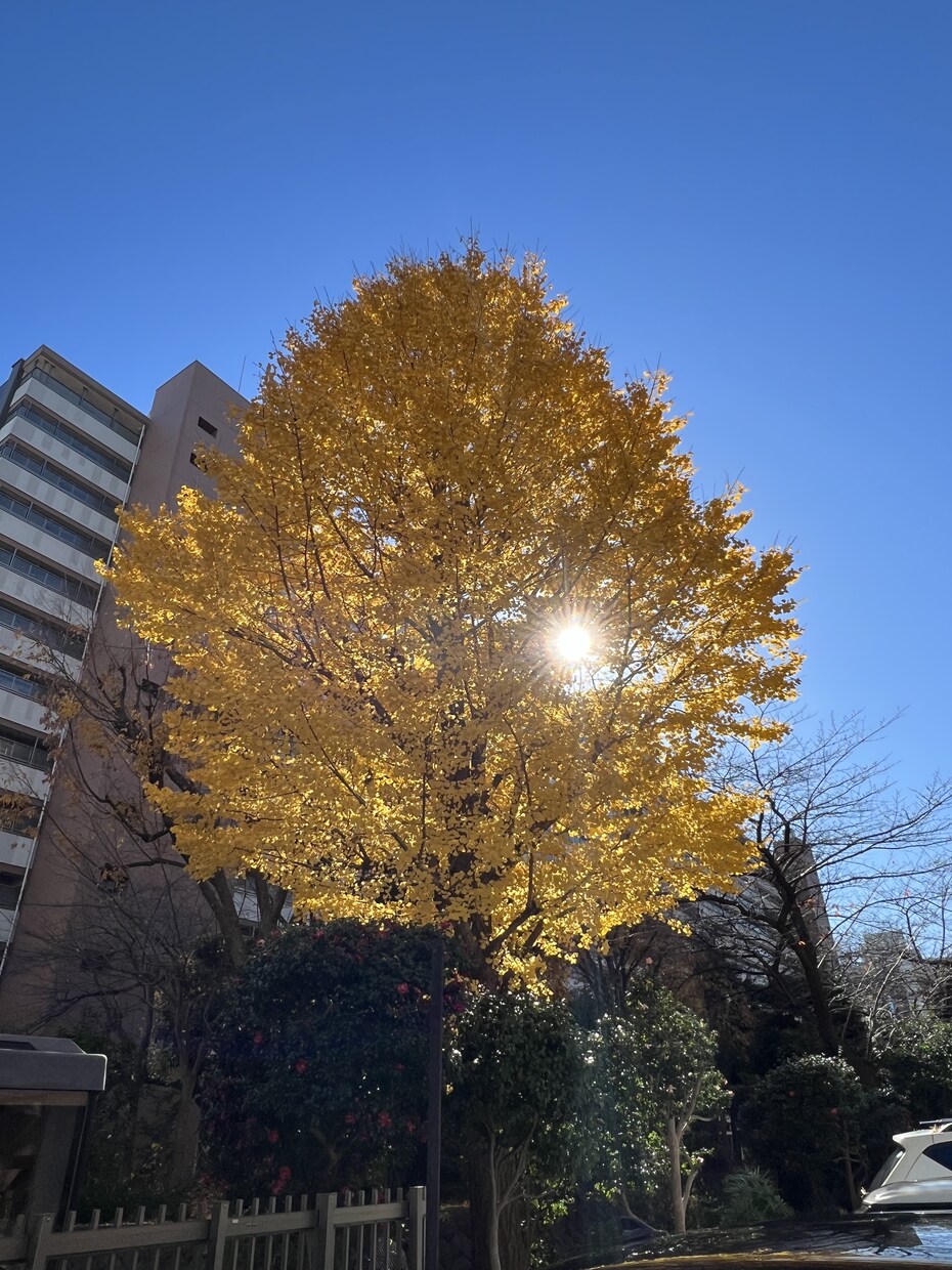 心、人生の悩み思考の方法を導いていきます 一瞬の心の思考で3000もの未来の方向が決まって行くんです イメージ1