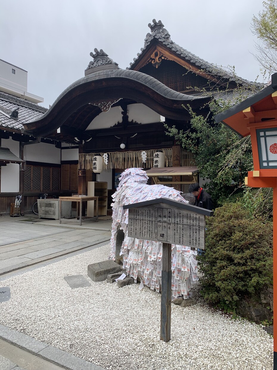 お相手の気持ちや恋愛運全般占います 仕事のお悩み、健康運、恋愛運占います イメージ3