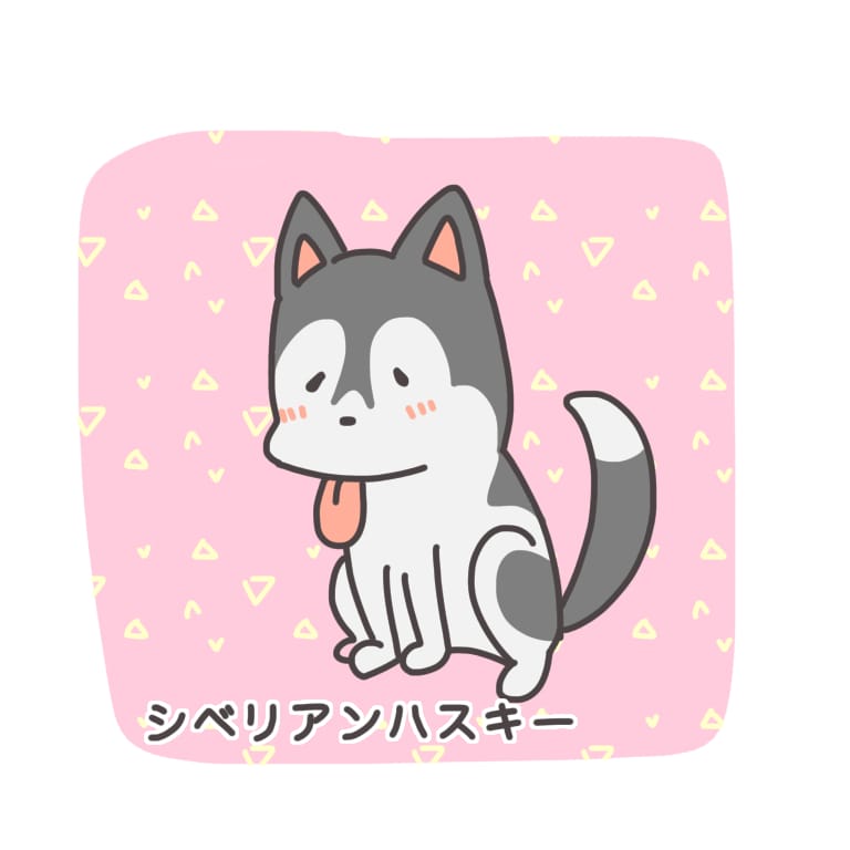あなたのペットをおすわりさせます おすわりしているイラストを描きます。 イメージ1