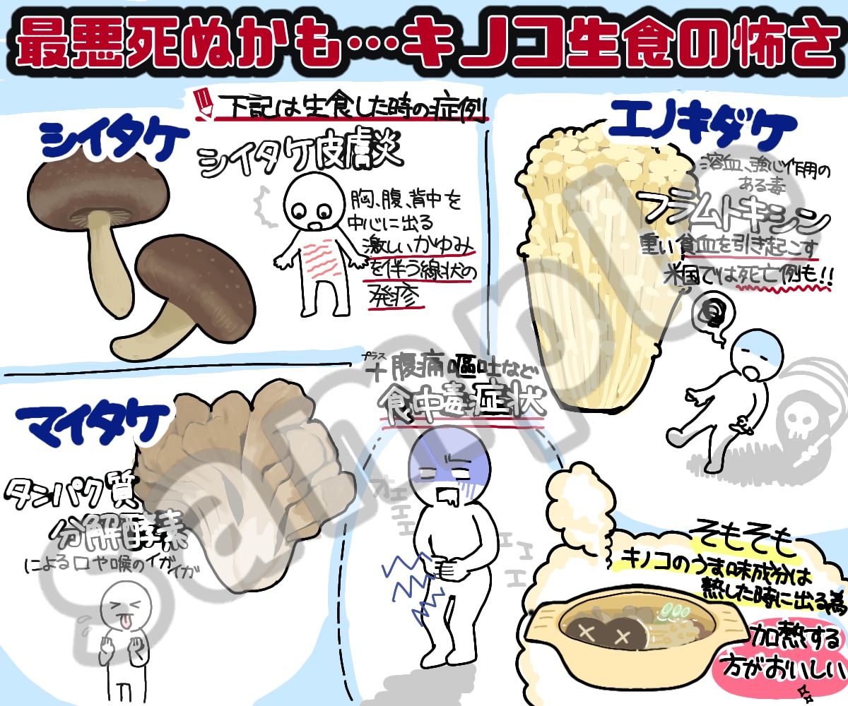 図解イラスト(グラレコ)描きます 1.5万RTの実績に裏付けられた分かりやすい図解！ イメージ2