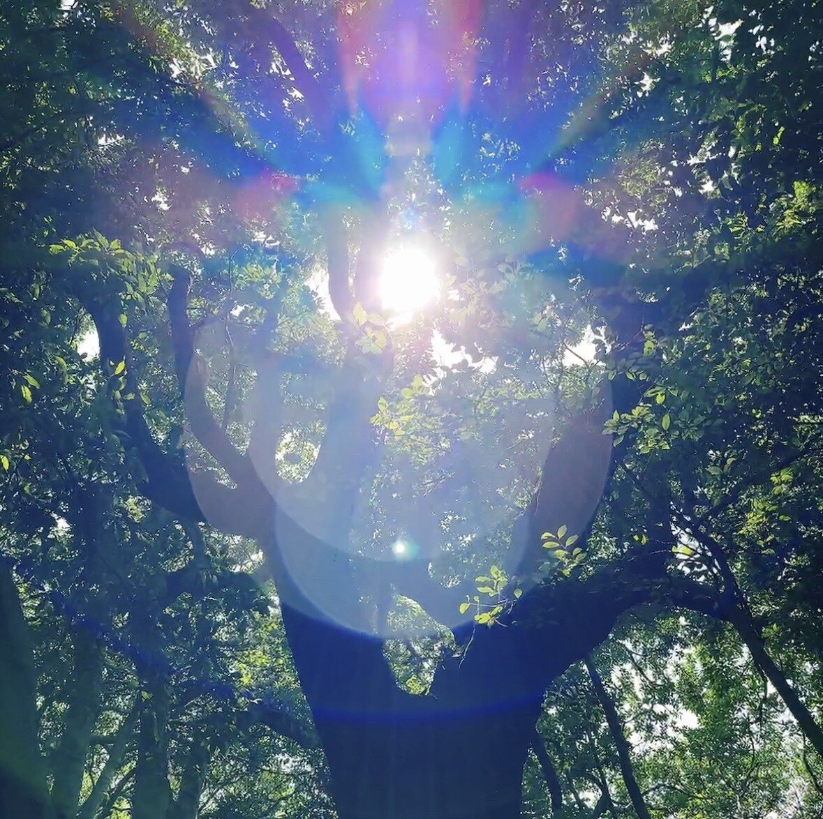5名様限定　観音様と繋がりリーディングします 貴方の今の状況に必要な事を観音様にお聞きしてお伝えします。 イメージ1