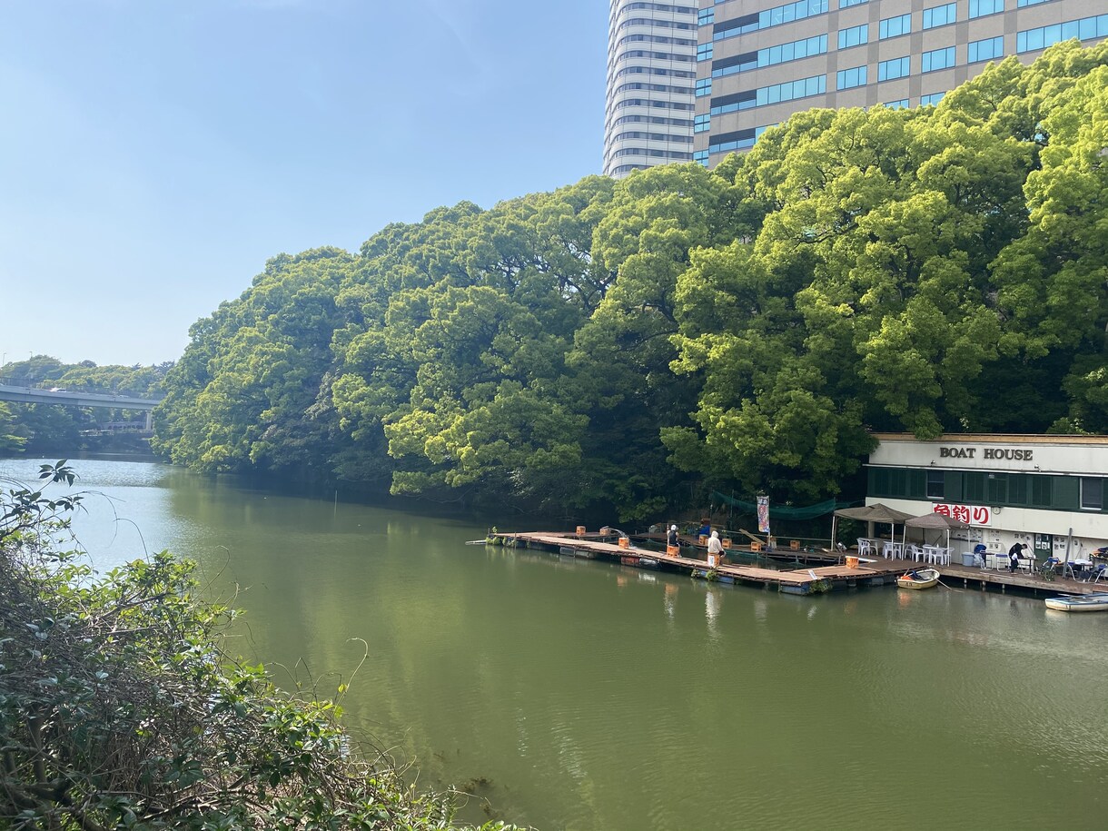 人生相談のりながら副業始め方教えます 電話で相談のります！副業継続受注ノウハウ共有します！ イメージ1