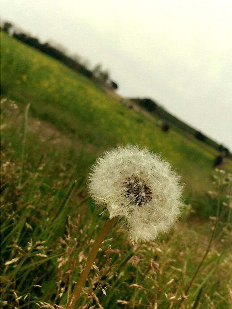 子供、介護、生活、イジメ、うつ病、愚痴、のります 考えてしまい、話をして、スッキリさせたいあなたへ イメージ3