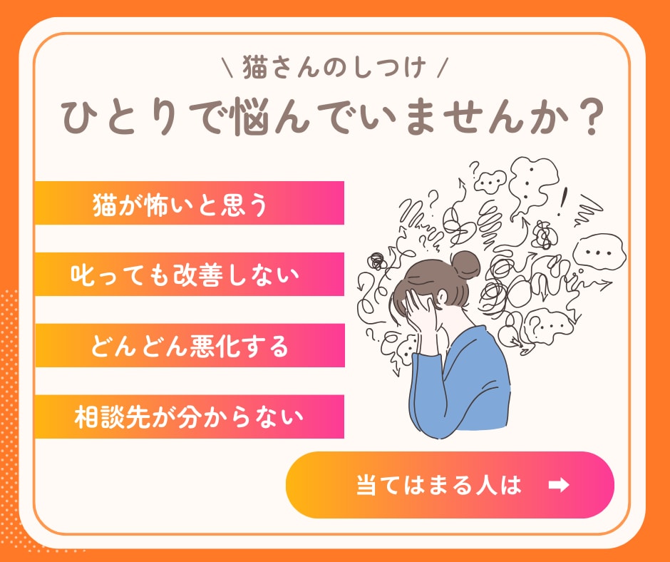 行動専門獣医師が猫の"困った行動"を解決します ★出品記念の為、初回3名まで最低価格でお受けします★ イメージ2