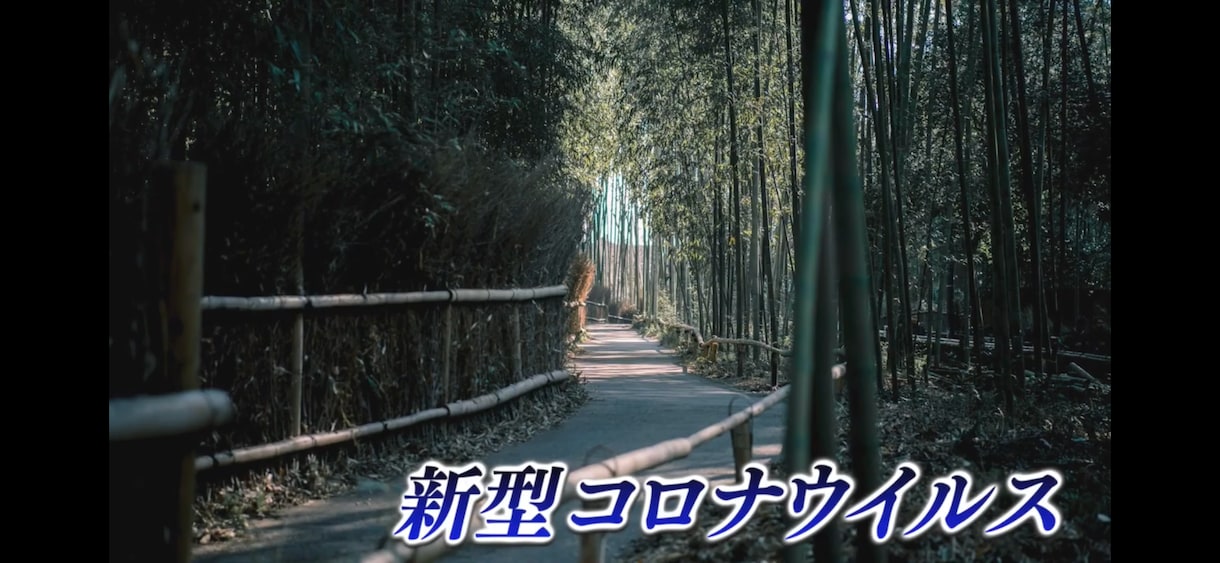 YouTubeバラエティ風動画を作成します 【フルテロップ】丁寧なテロップデザイン、編集を心掛けます！ イメージ4