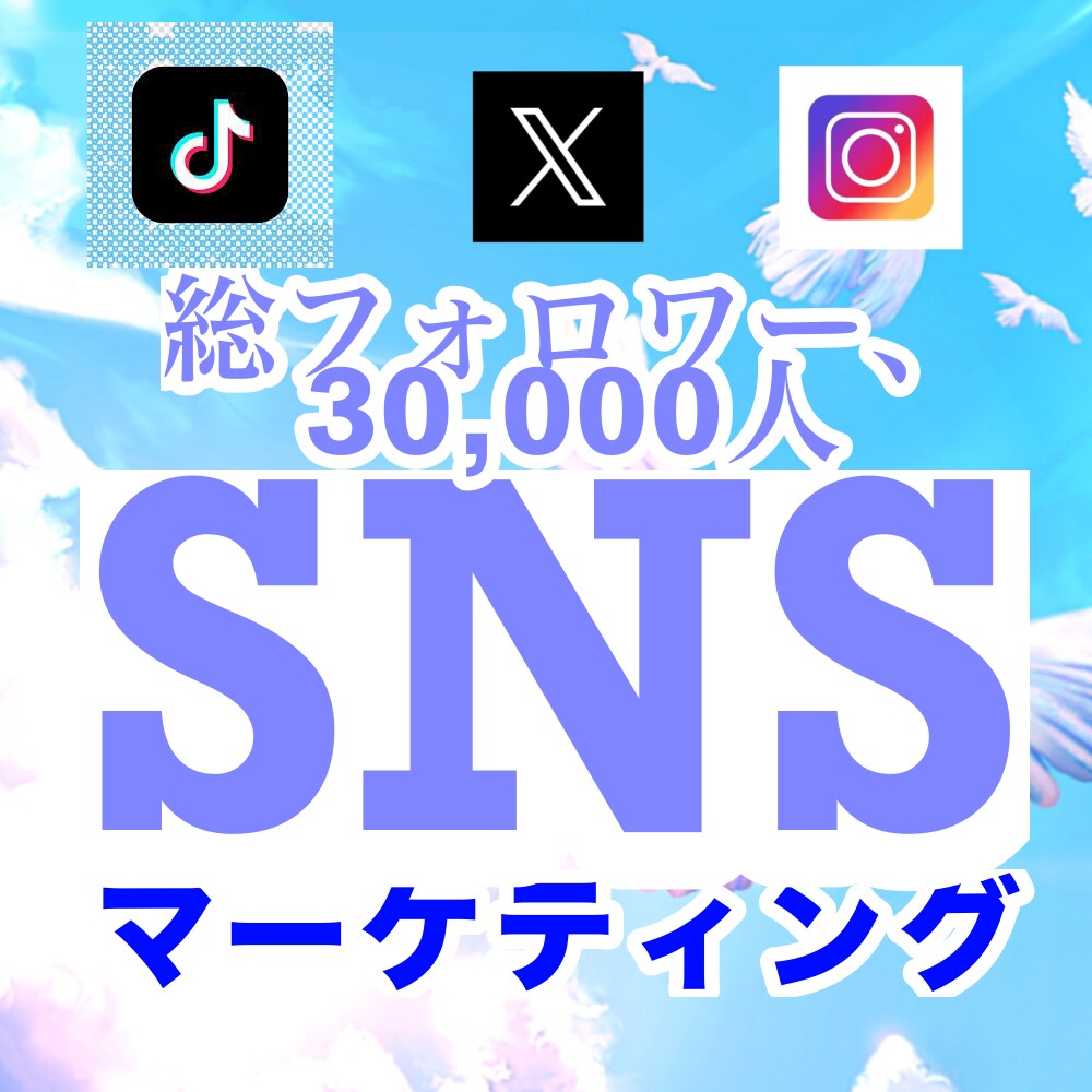 SNSマーケティング手伝います 自宅で簡単SNSでお小遣い稼ぎしてみませんか？ イメージ1