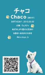 ペット名刺（PET NAME CARD）制作します セミオーダータイプ・50枚単位で注文可能！ イメージ3
