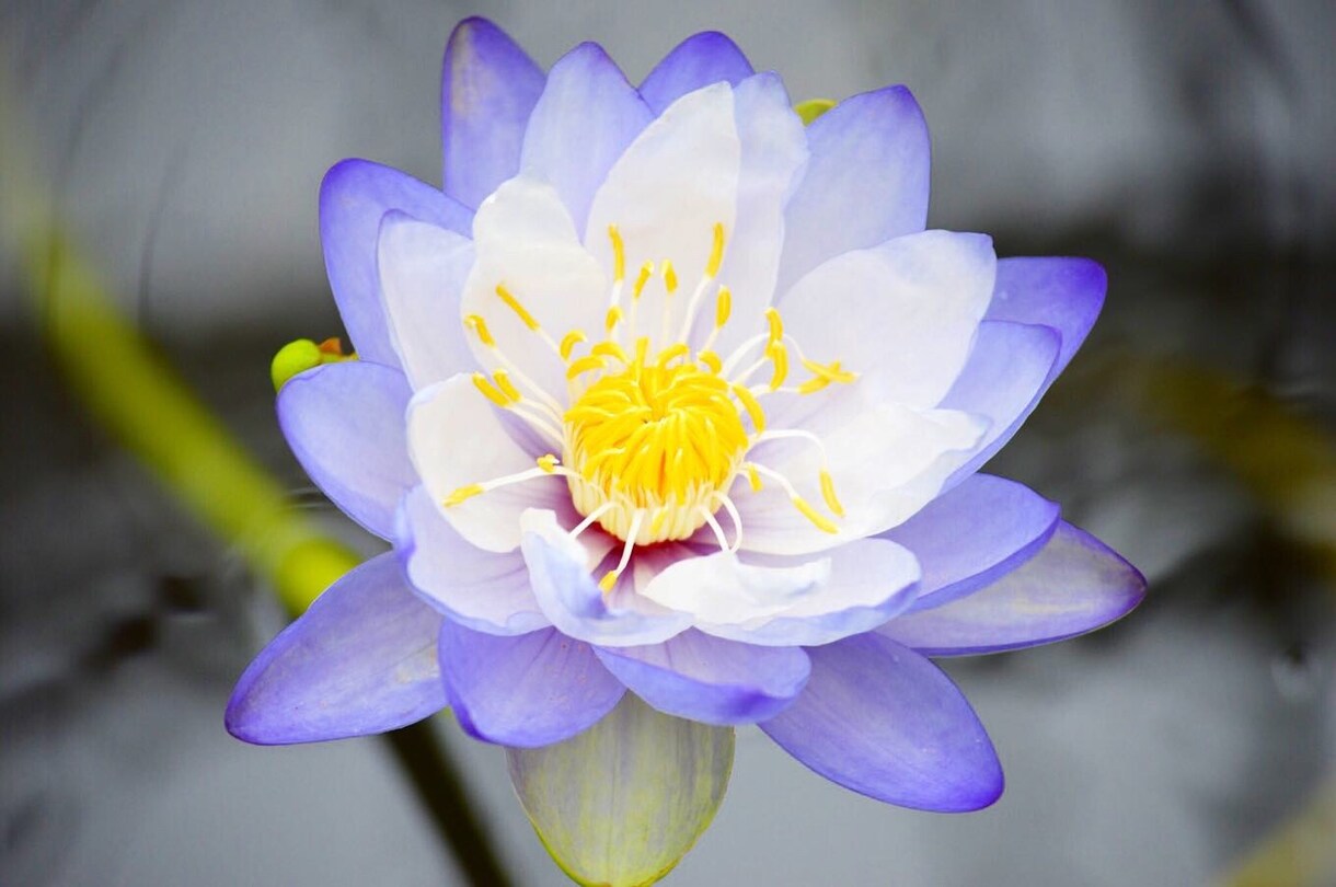 写真のレタッチします 時短のお手伝いさせていただきます★ イメージ7