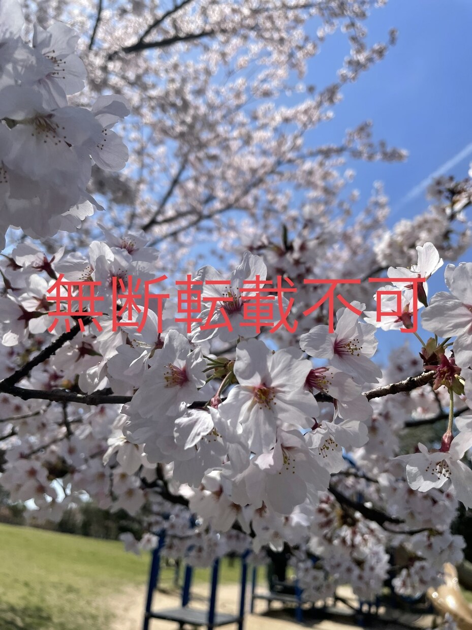風景や自然などの写真素材を提供します 痒いところに手が届く写真素材を目指しています。 イメージ1