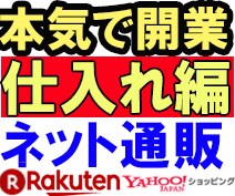 仕入の方法(本格的) ゼロからアドバイスします 楽天 ヤフー アマゾン で売りたいけど仕入先はどうする？ イメージ1