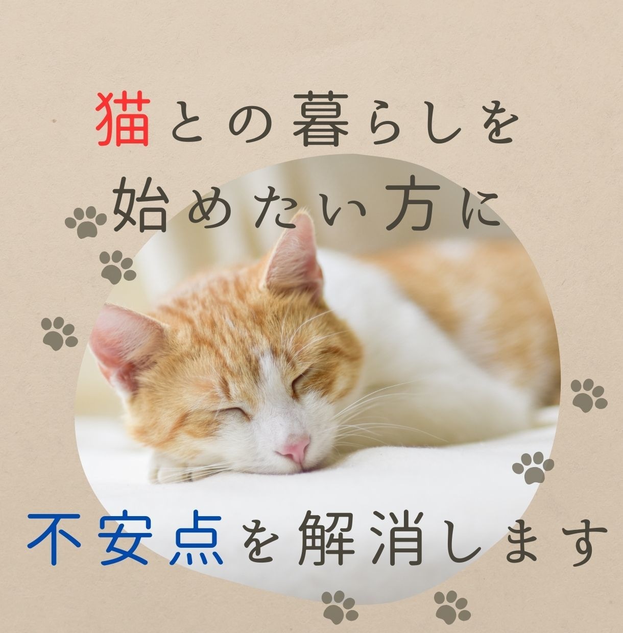 聞かせて❗️愛猫ちゃんのこと☘️アドバイスもします 猫歴10年以上❗️６匹の猫ちゃんと暮らし中✨お悩み相談⭐️ イメージ5
