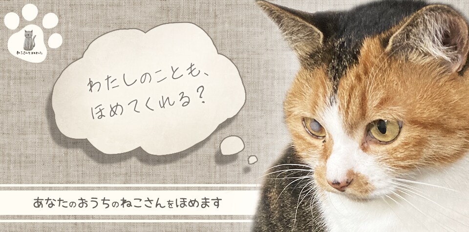 あなたのおうちのねこさんをほめます ねこさんのお写真に、ねこさんのステキなところを書き込みます イメージ4