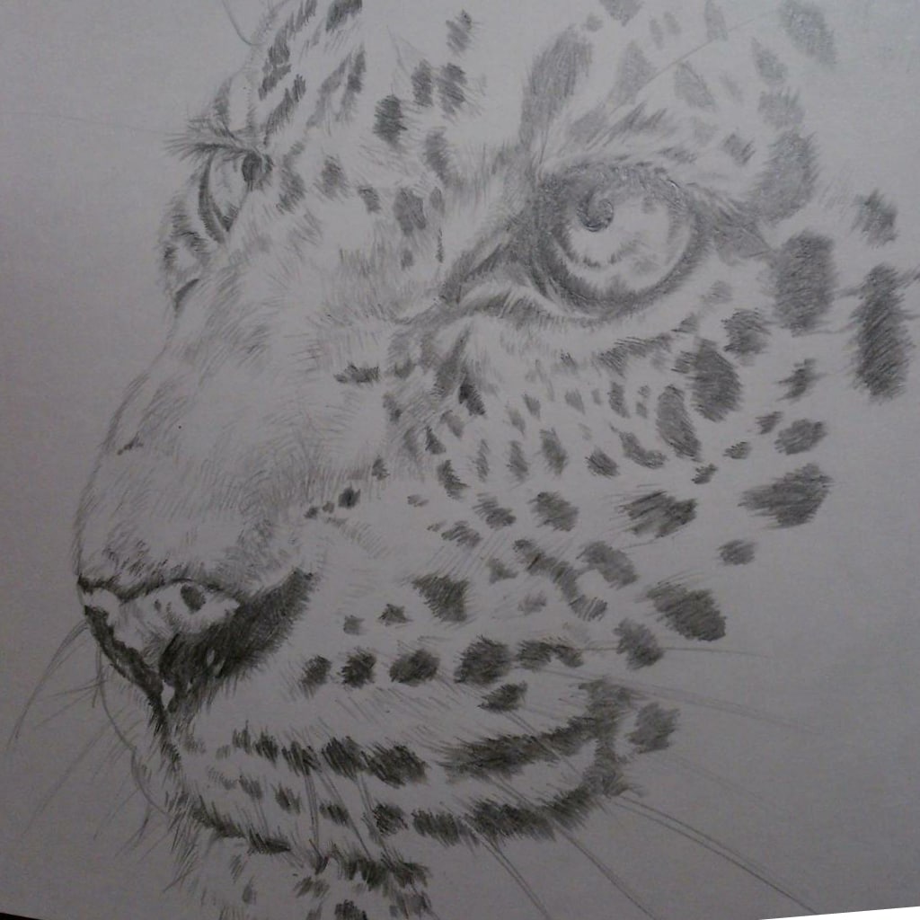 写真からリアルイラストを描きます プレゼントにおすすめです(^^) イメージ1