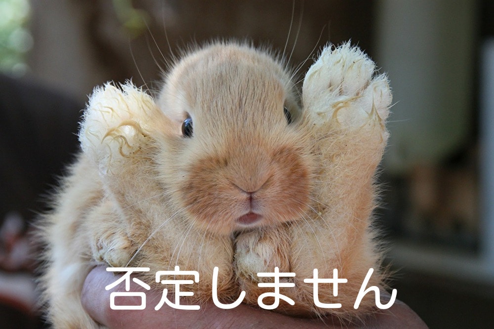 誰かと話したい方、短時間でも長時間でもお話聞きます 愚痴でも相談でも雑談でもただ怒りをぶつけたい人でもOKです！ イメージ5