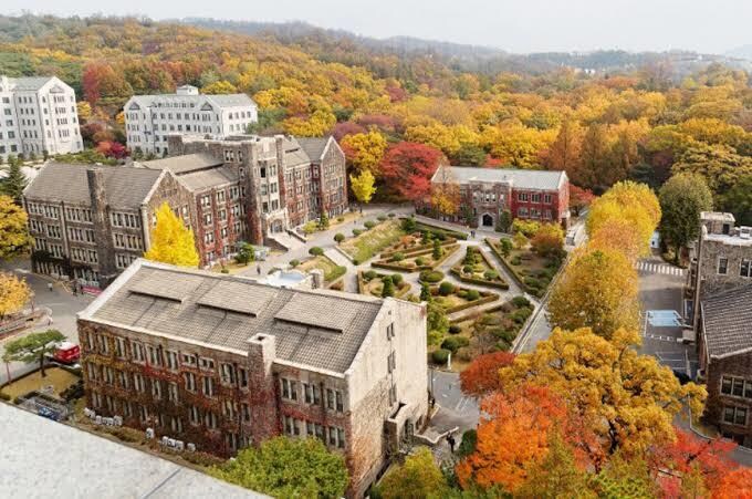 海外大学受験準備お手伝いします ✴︎海外大学受験と国内大学受験を両立させたい方に✴︎ イメージ1