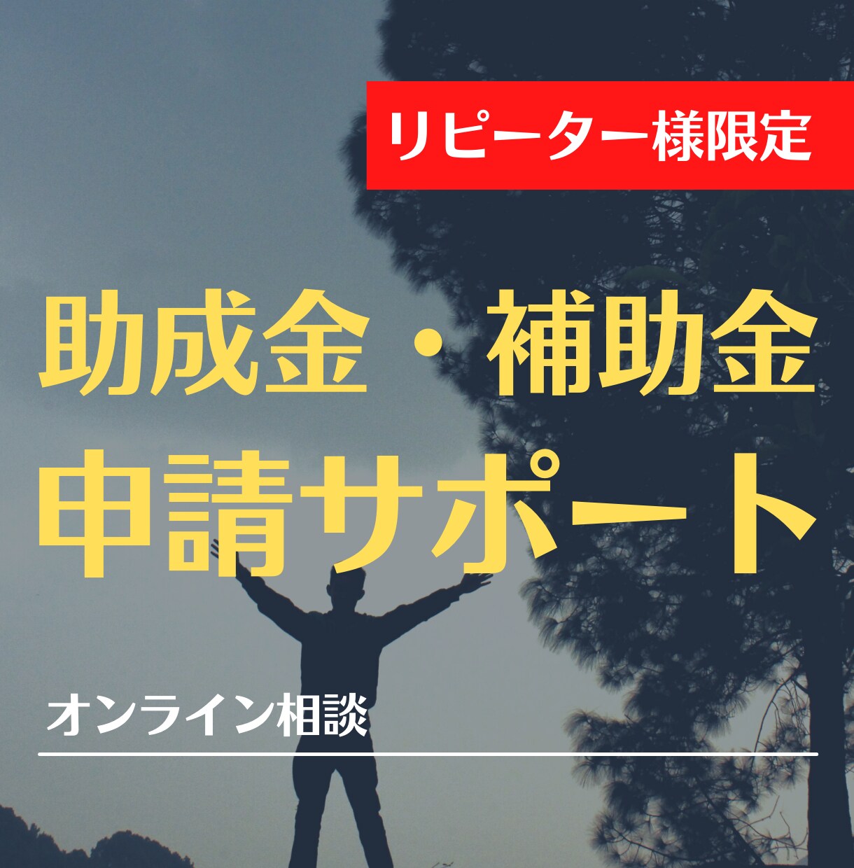 リピーター様専用オンライン相談致します 御社に適用出来る助成金・補助金のご相談・アドバイスを致します イメージ1