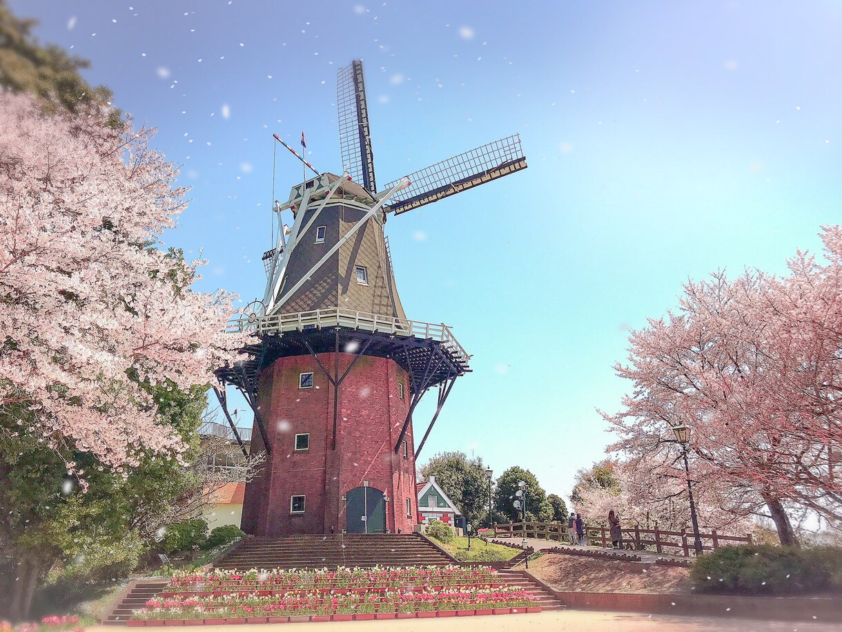 風景写真に桜吹雪を追加します 写真編集歴3年｜特別な1枚を作ります！ イメージ4