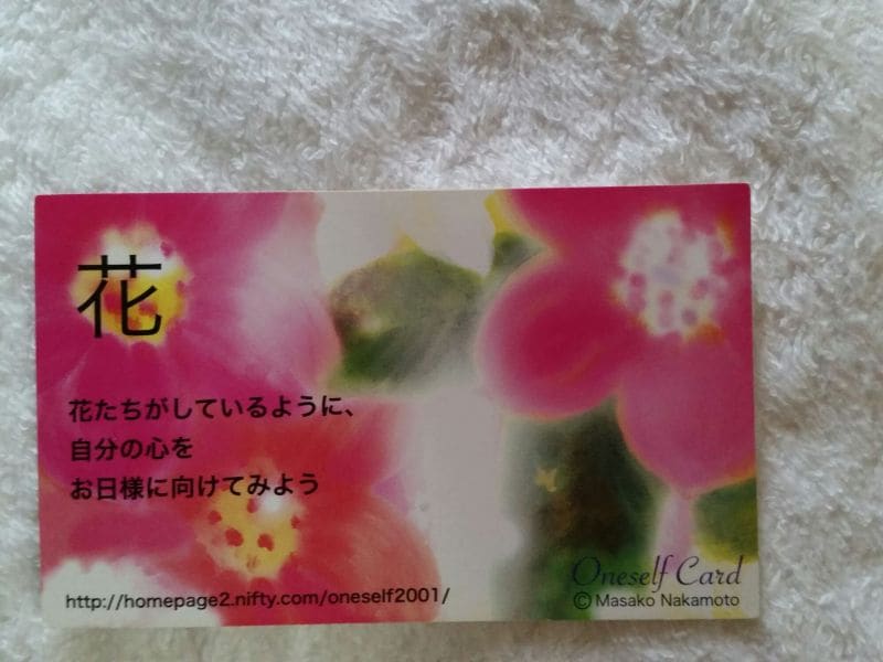 繊細さんのためカード1枚引き気持ちがスッキリします そういう見方があったのか！と気づいて気持ちが楽になりますよ イメージ1