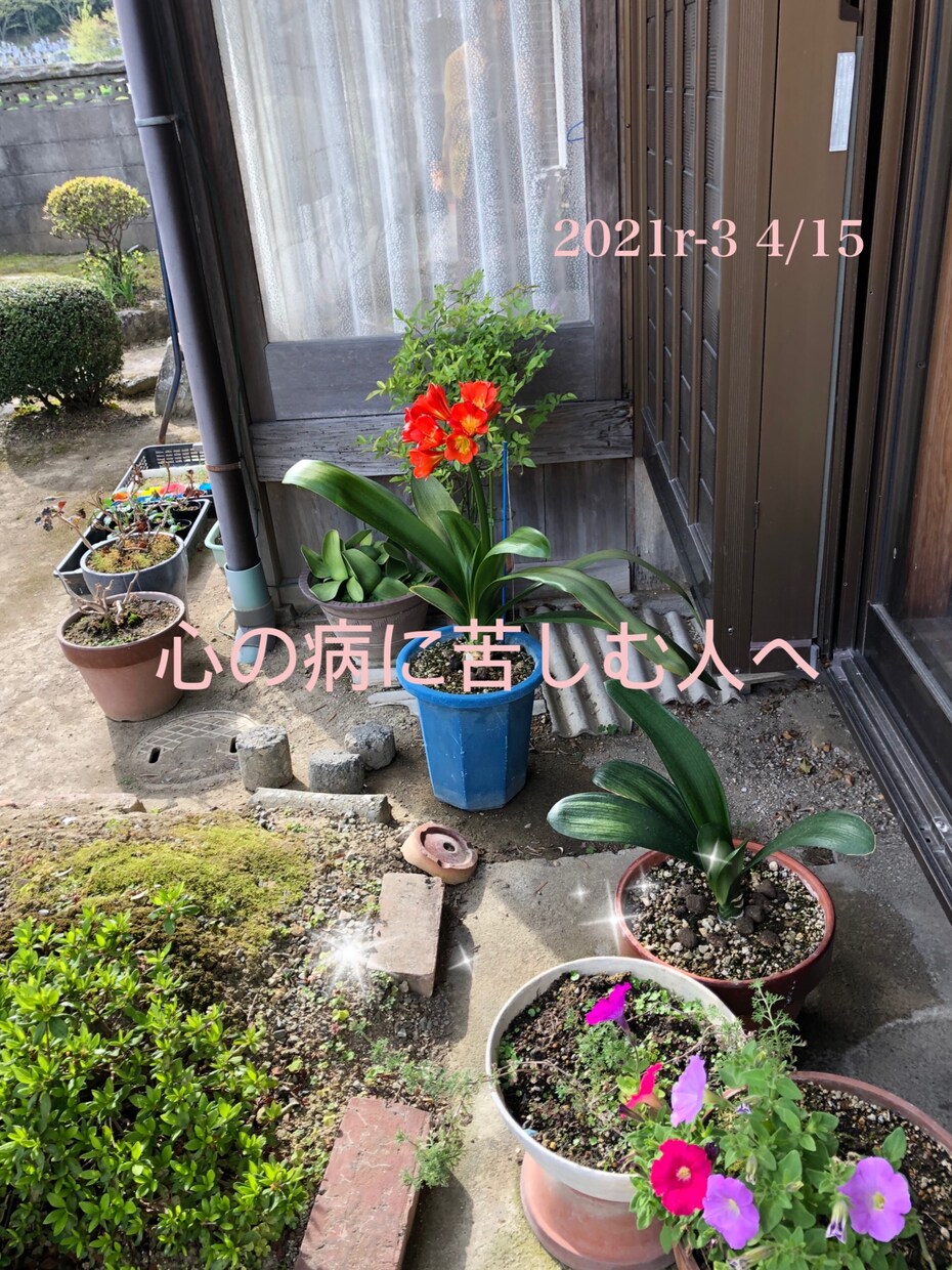 お電話苦手の方♤気軽に★お話し★聞きます ピアサポーター★も目指す私とやんわり話しませんか♡ イメージ1