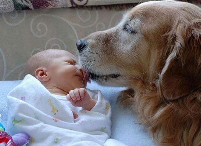 ペットロス。あなたの心を癒します 愛犬を8回亡くした私が貴方のペットロスの気持ちに寄り添います イメージ3