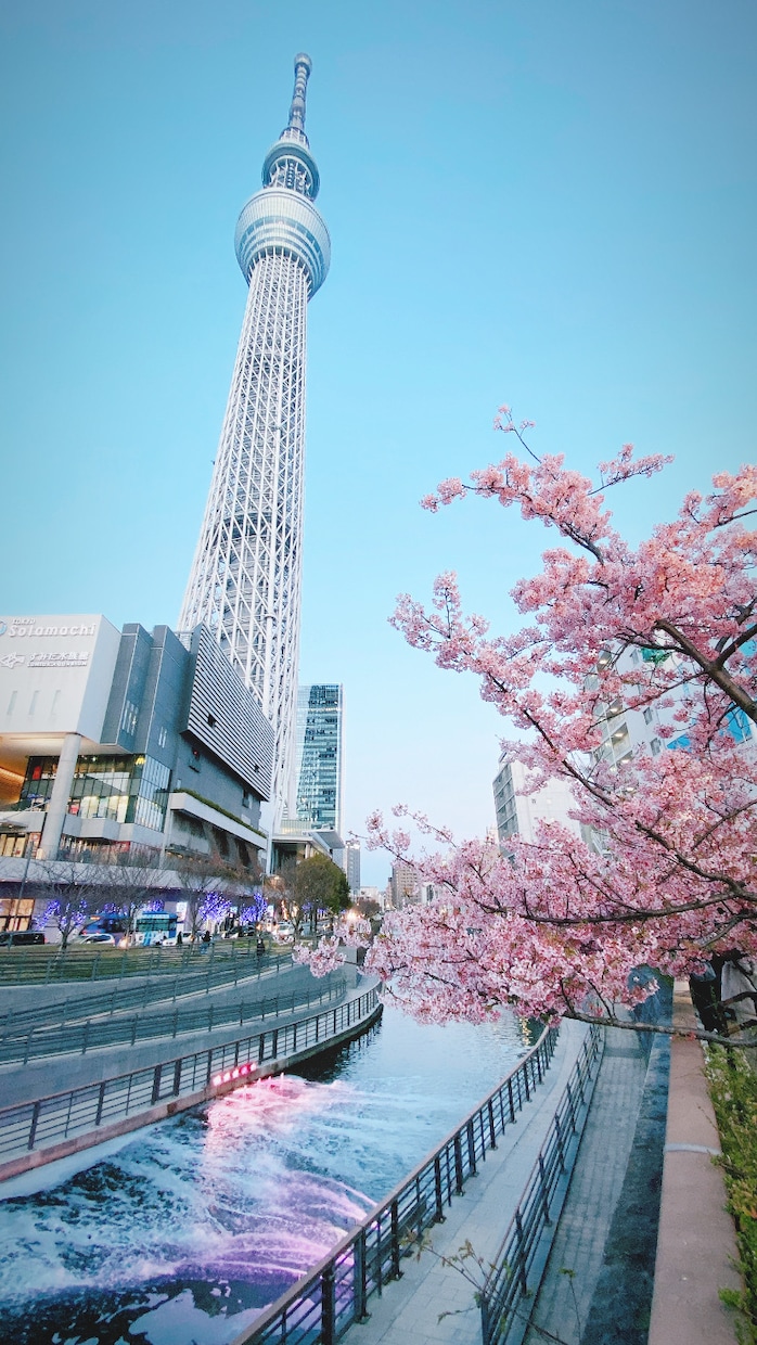 SNSに映える写真編集・加工致します せっかく撮ったけどなんだかイマイチ等 お任せください！ イメージ3