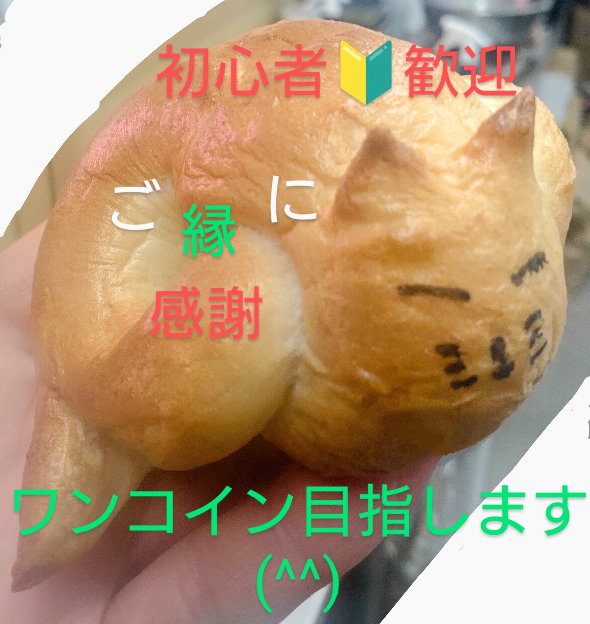 占いワンコイン五分以内で3枚タロット占います 占い初心者の方のハードルをお下げ致します。軽い気持ちでどぞ イメージ1