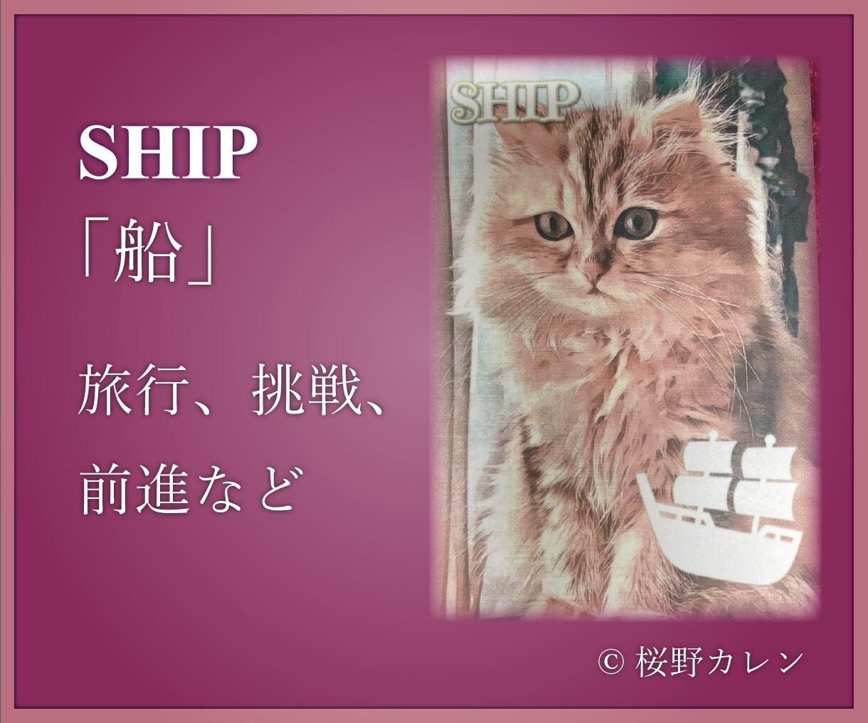 猫好きな方必見！こべびちゃんが占います 可愛い猫ちゃんのカードですが、アドバイスは的確！ イメージ3