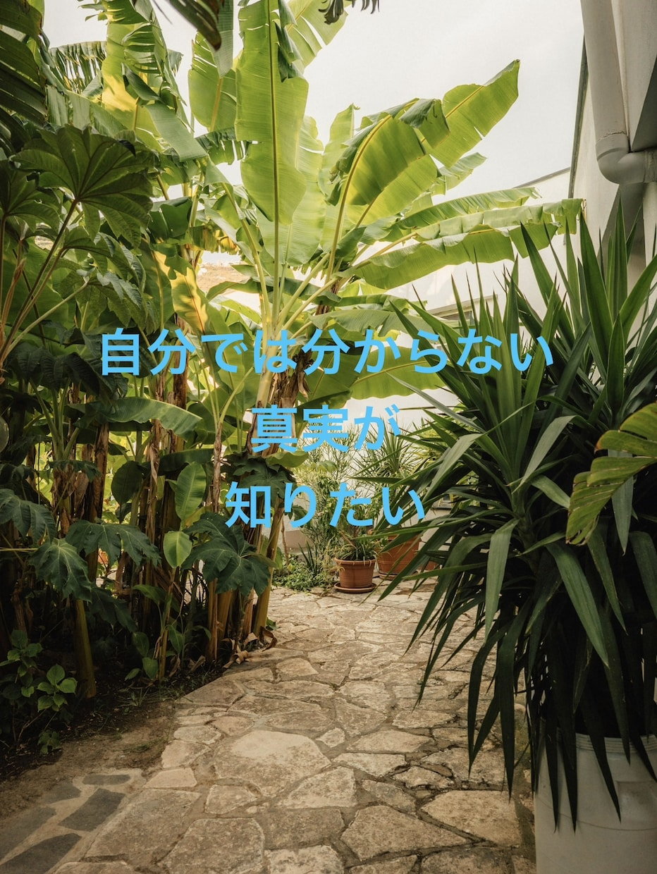 質問5つ❣️不倫、浮気、夫婦をタロット鑑定します 大好評❤️質問5つ❤️＋鑑定後の質問１つ❤️を徹底網羅！ イメージ8