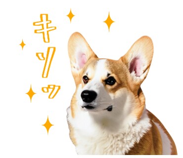 LINEスタンプ画像お作りします ご家族やペットのお写真をオリジナルのLINEスタンプに！ イメージ8