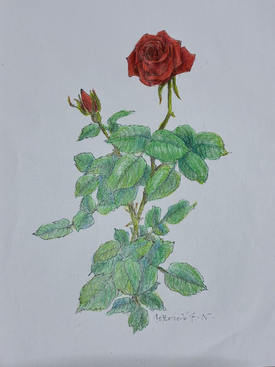 写真から手描き大切なペットや植物の画を制作します 自然で、あなたの心に寄り添う世界に一枚のアートをお届けします イメージ3