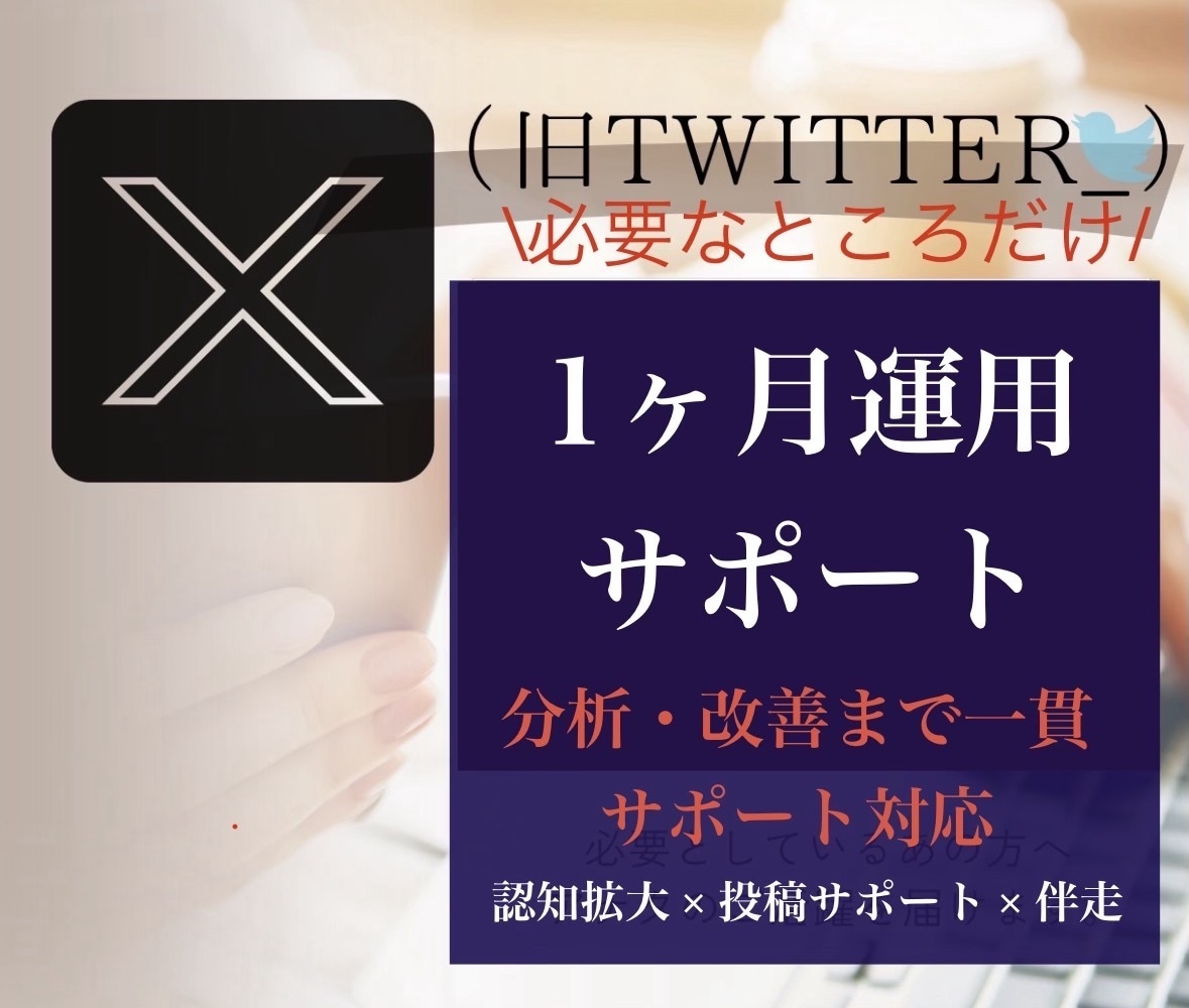 X認知拡大＋投稿｜1ヶ月運用改善まで伴走します 予算に合わせ運用サポート。認知拡大から投稿改善まで柔軟に対応 イメージ1