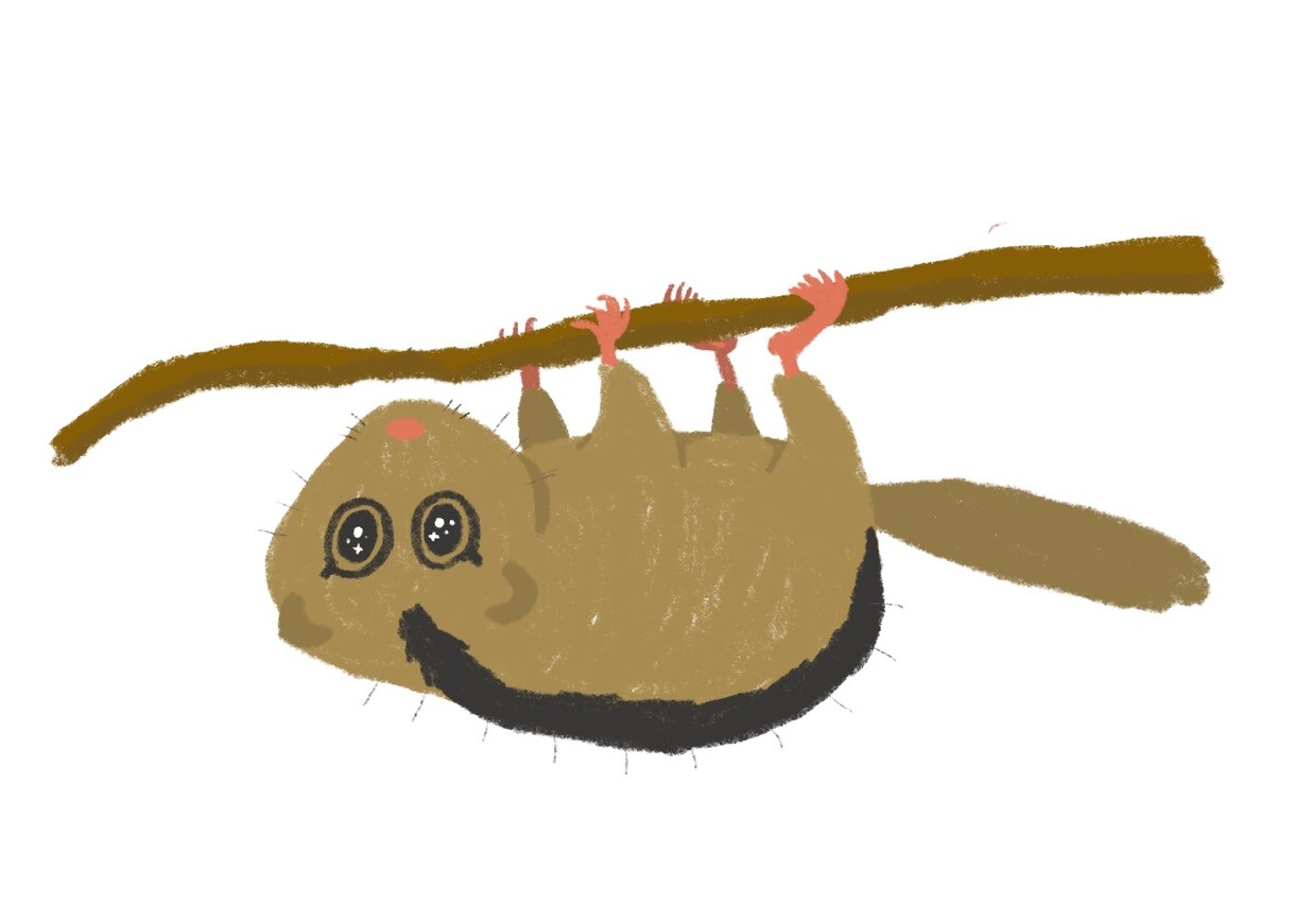 クレヨンタッチで動物のイラストを描きます ゆるっとシンプルに、しっかりと。動物の元研究員が制作します イメージ1