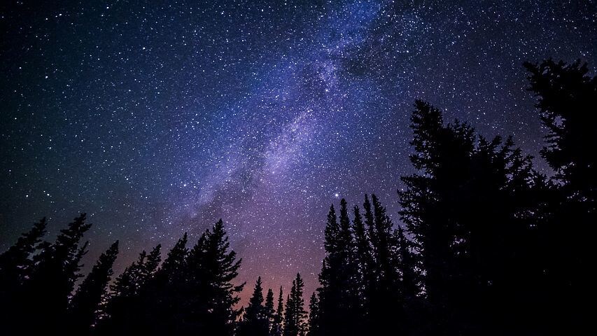 女性限定⭐️理系大学生が寂しい夜を一緒に過ごします 寂しい、ひま、眠れない。そんな夜は僕と過ごしませんか？ イメージ6