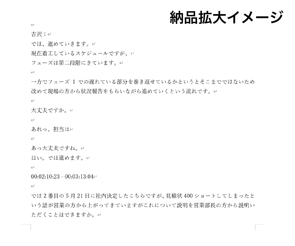 迅速丁寧動画や音声から文字起こしをします ケバ取り無料 標準対応いたします イメージ5