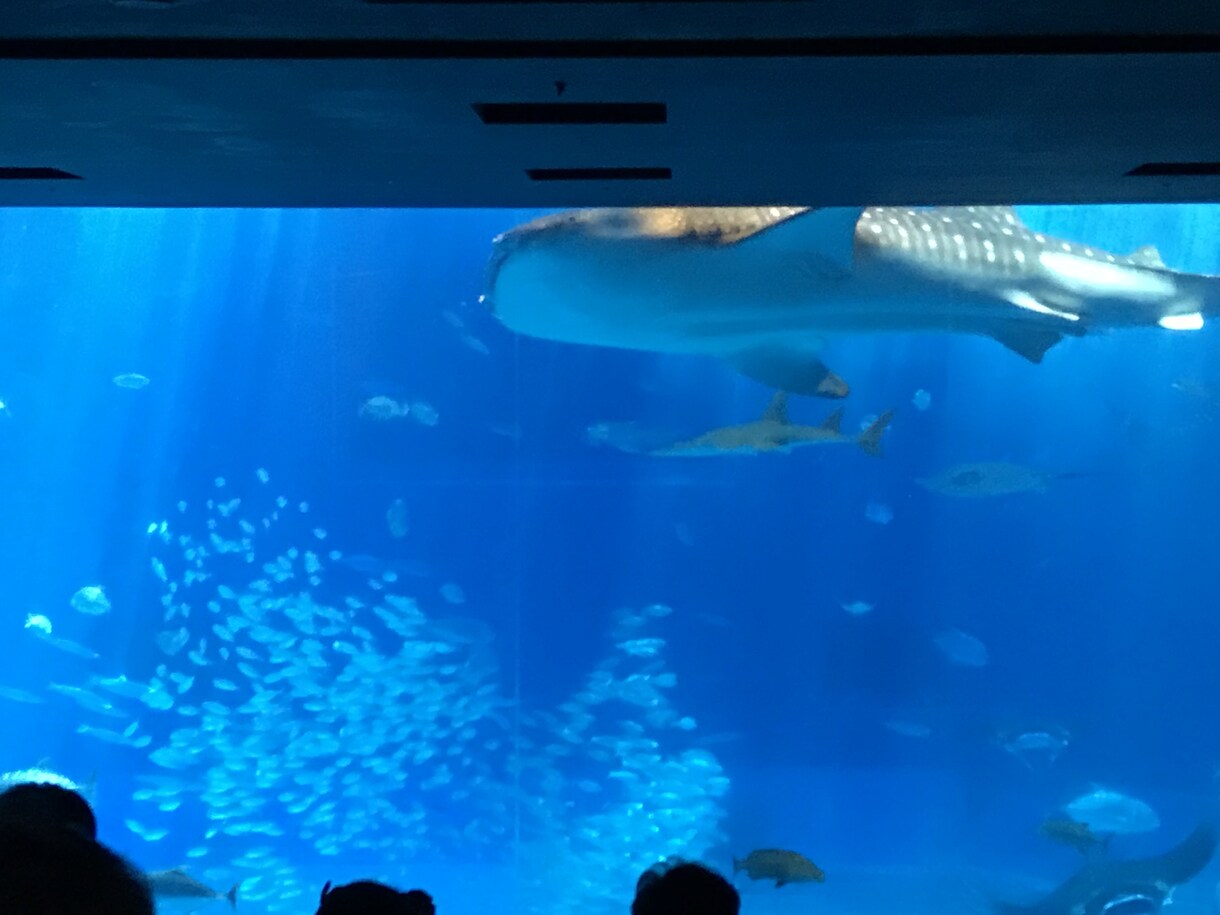 はじめての子連れ沖縄本島旅行!! 相談に乗ります コストパフォーマンスのいい旅のプランをお手伝いします。 イメージ1