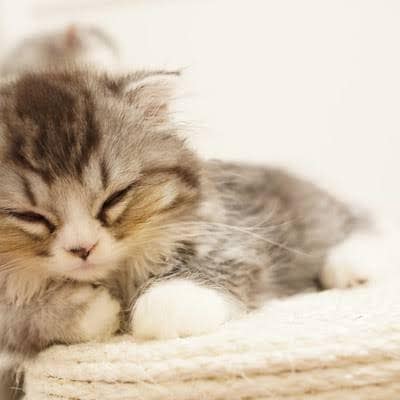3日間♡あなたのお話何でも聞きます 電話では話しにくいことなど何でも大丈夫です♪ イメージ1