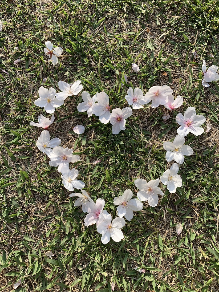 現役保育教諭ワーママが子育ての悩みに答えます 疲れちゃったママ、あなたの心を軽くします。なんでもどうぞ。 イメージ3