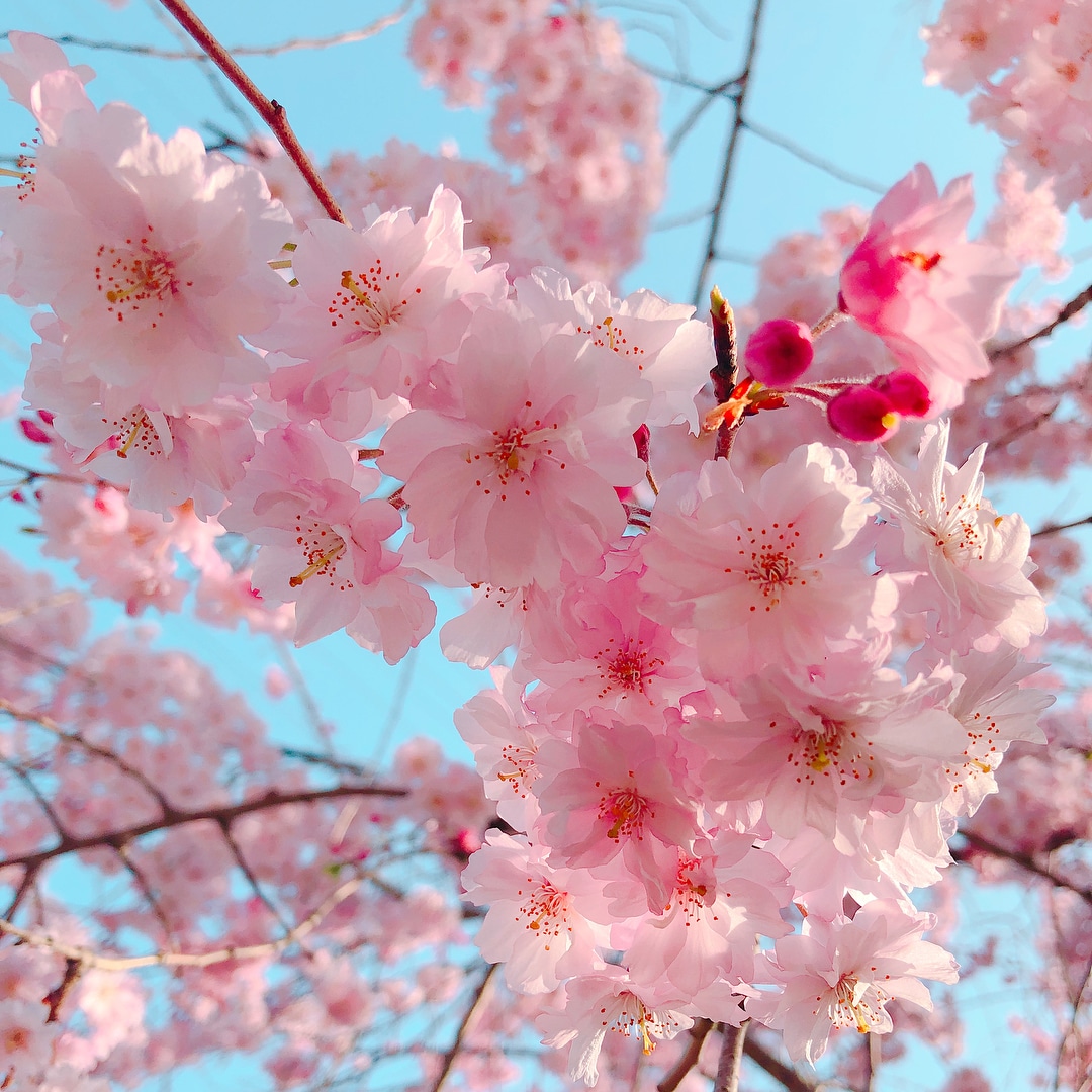 自信を持てない方。自信を持てる方法おしえます 自分も自信をてない時があったけどある方法で自信を持てました！ イメージ1