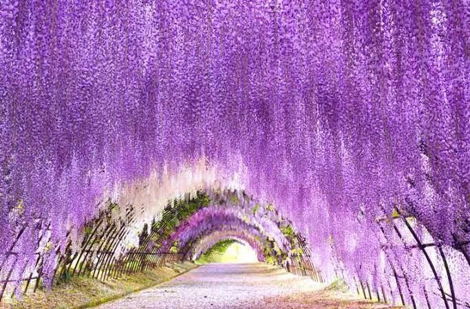 不倫愛人関係略奪愛浮気同性愛など占います 難しいけど叶えたい恋はありませんか？カードがあなたを導きます イメージ1
