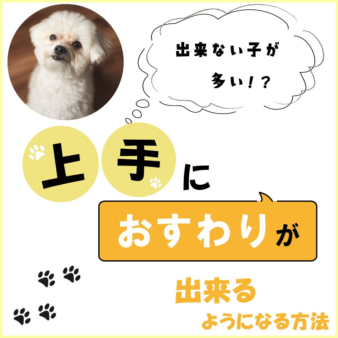 インスタのプロが、Instagram運用代行します SNS運用/フォローアップで"人気アップ"を目指しましょう！ イメージ4