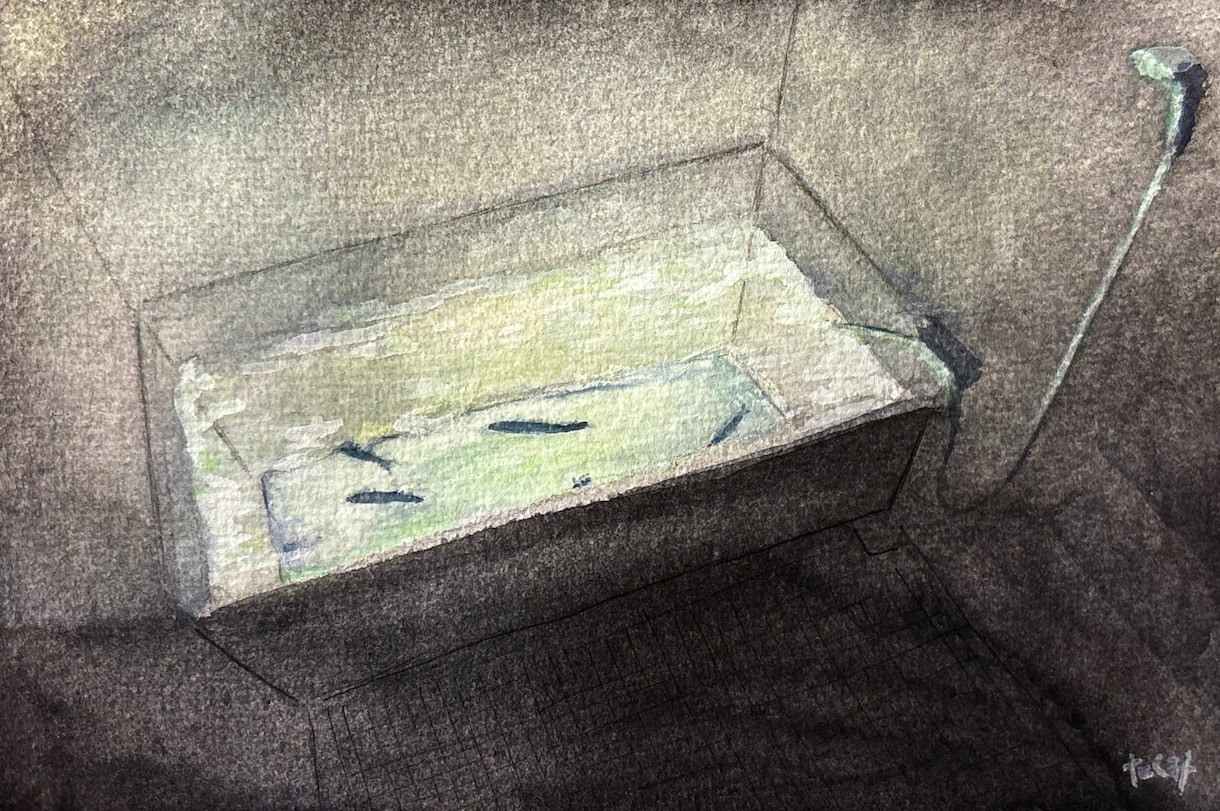 背景少なめ、絵本の1ページのようなイラスト描きます シンプルだけど印象に残る、やさしい水彩イラストを描きます イメージ4
