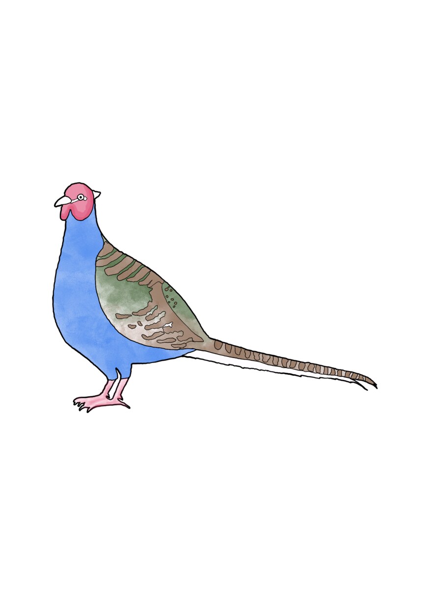 イメージのようなテイストのイラストを描きます リアリティがありながら、可愛らしさのあるイラストが得意です。 イメージ9