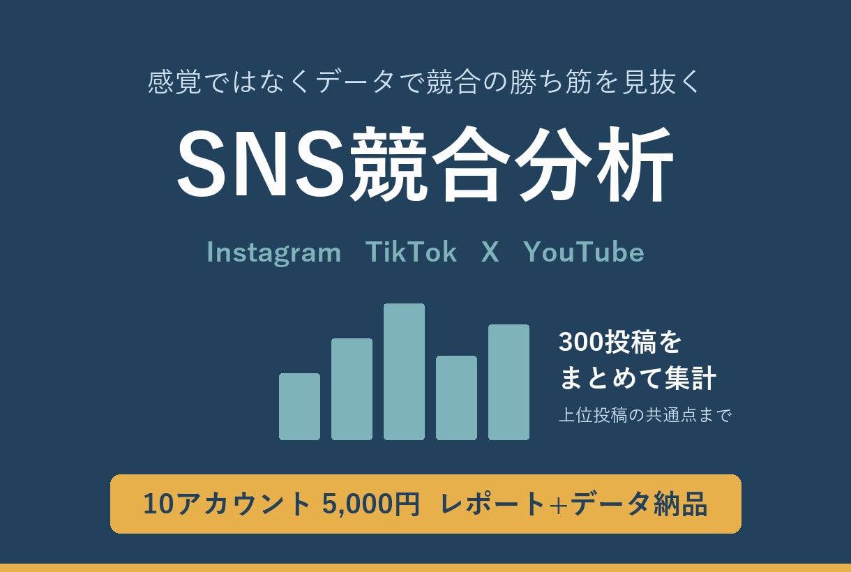 競合SNS10アカウントの投稿を定量分析します 感覚ではなくデータで競合の勝ち筋を見抜きます イメージ1