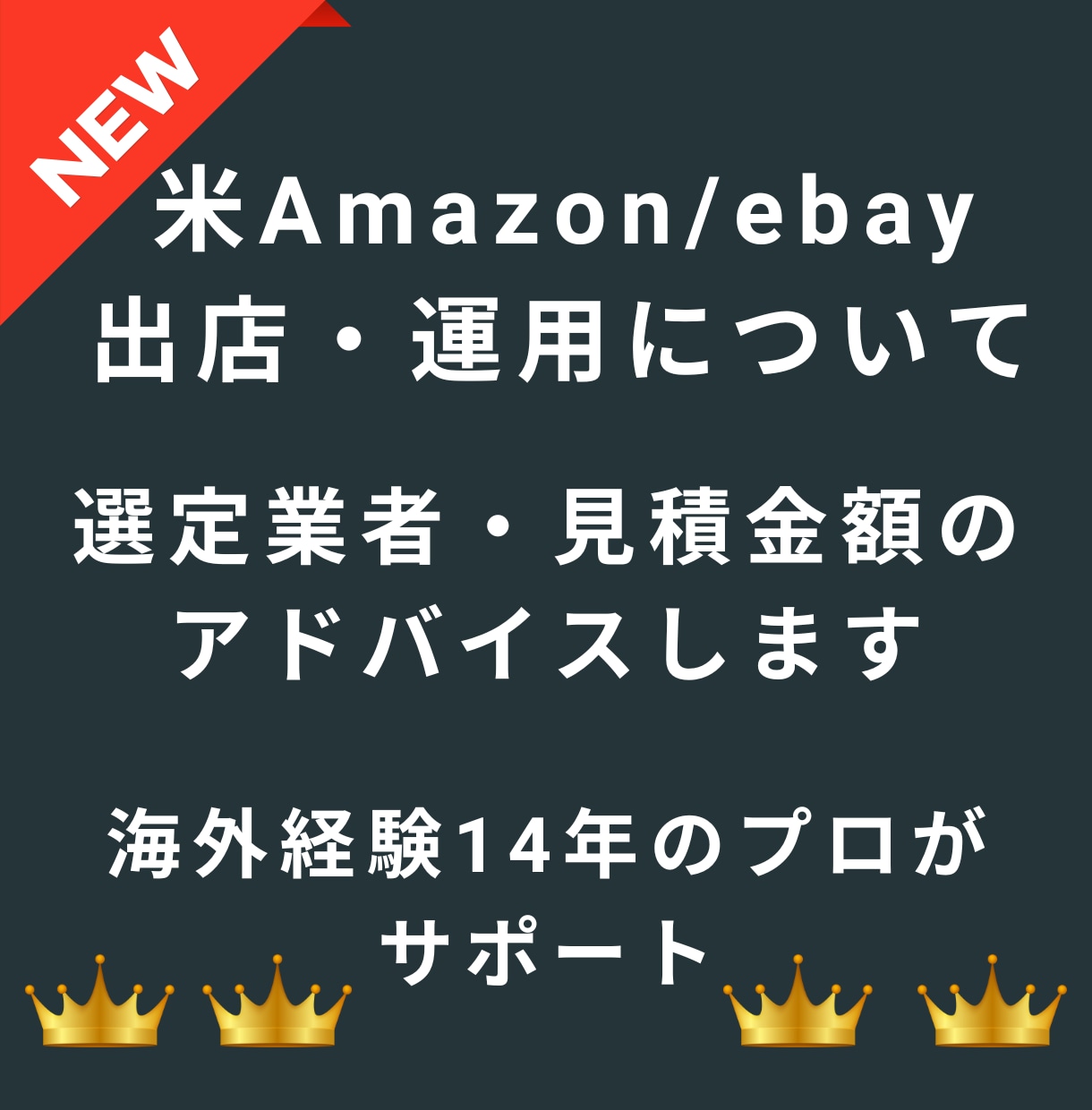 米Amazon/eBay販売運用をアドバイスします 14年の実績でFBA代行・運用業者選定、販売運用のアドバイス イメージ1