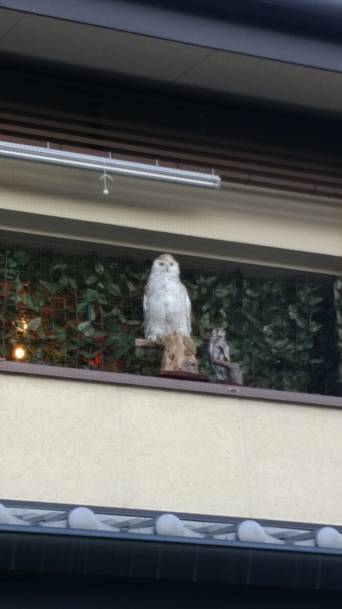 あなたの恋愛サポートします 恋に悩むあなたへ元ホストからサポートします！ イメージ1