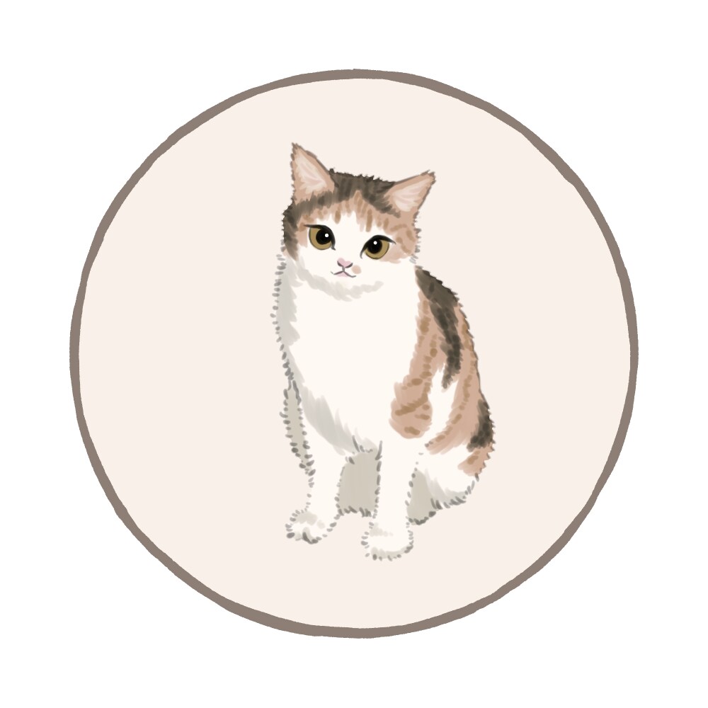 愛嬌のある猫ちゃんのイラストを描きます 可愛い表情で思わず微笑んでしまうふわふわ猫ちゃんイラスト イメージ3